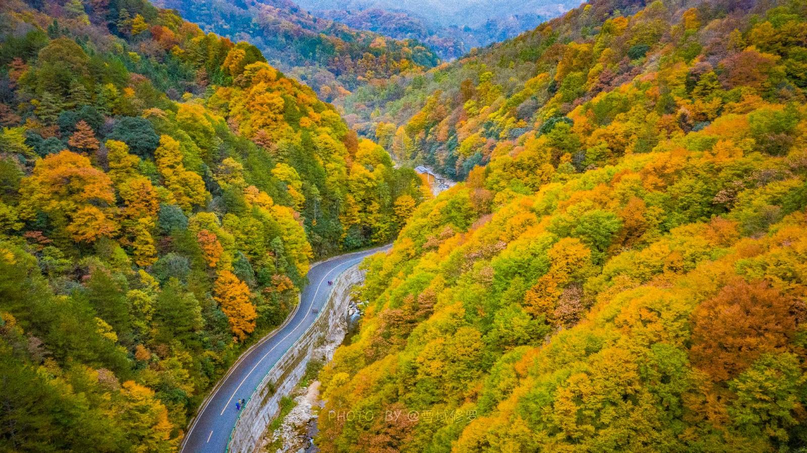 光雾山赏秋最全指南!带你领略“中国红叶第一山”的红叶盛宴