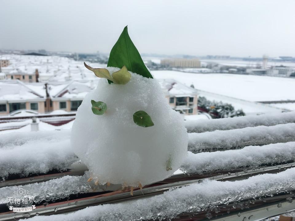 玩《旅行青蛙(旅かえる)》有哪些体验?