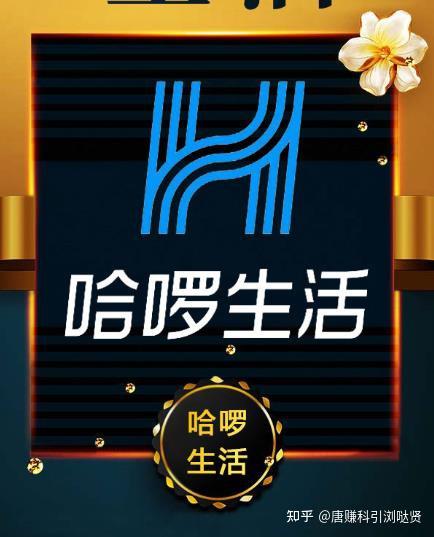 哈啰生活怎么样哈啰生活阿里系剑指美团