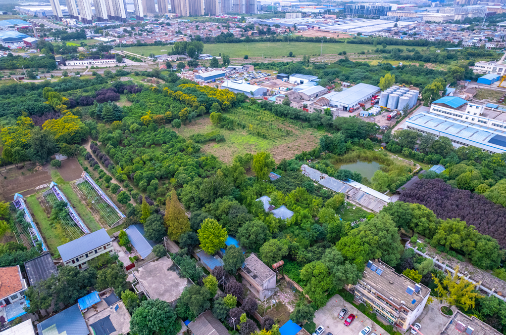 寻找汉武帝修建的建章宫,如今还有哪些可以看到的遗址? - 知乎