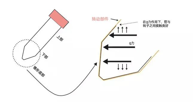 一文看遍离心管离心管为什么又叫ep管