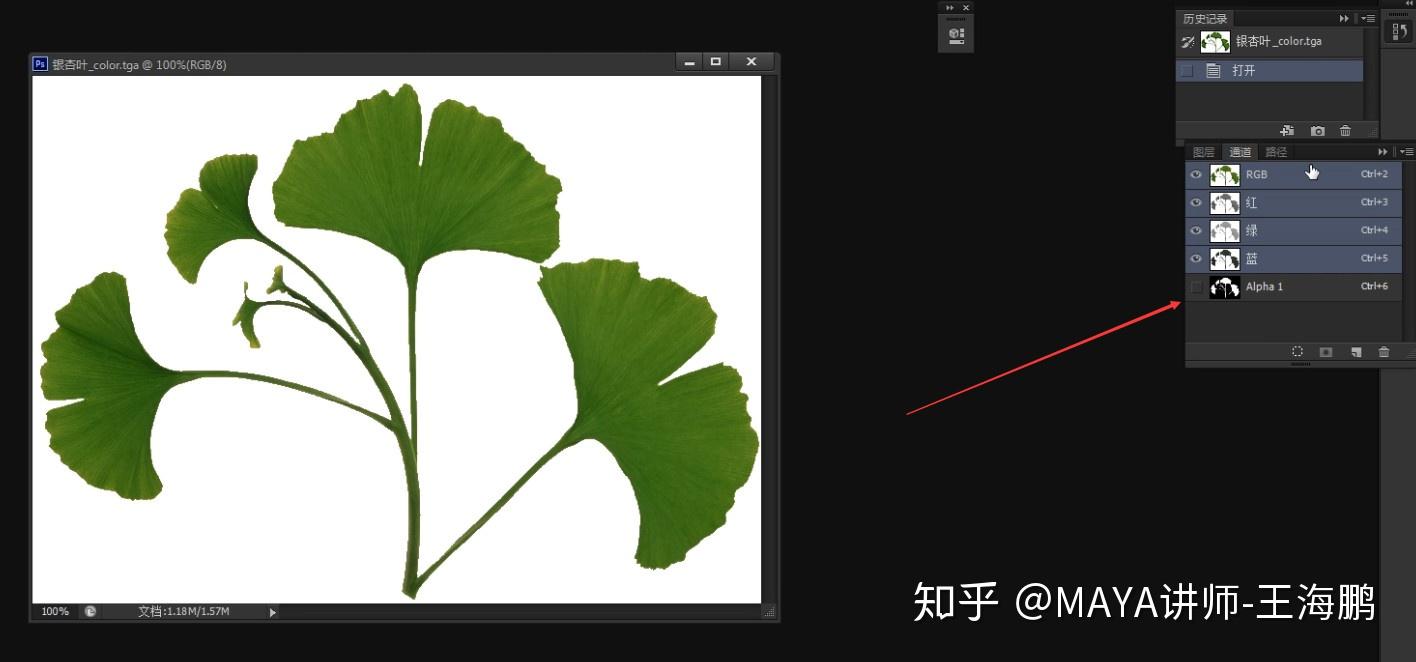 树叶透明贴图的制作原理及渲染！ - 知乎