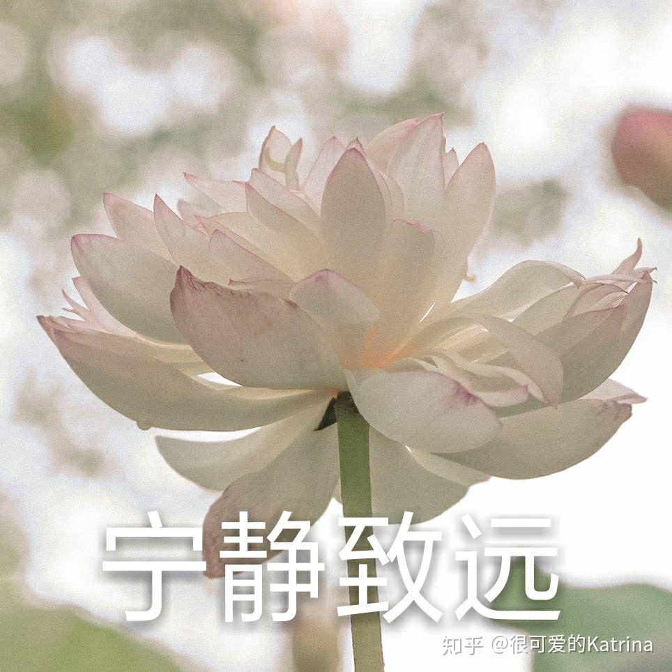 爸爸对我的网名头像发起了进攻家长中意的到底是什么样的