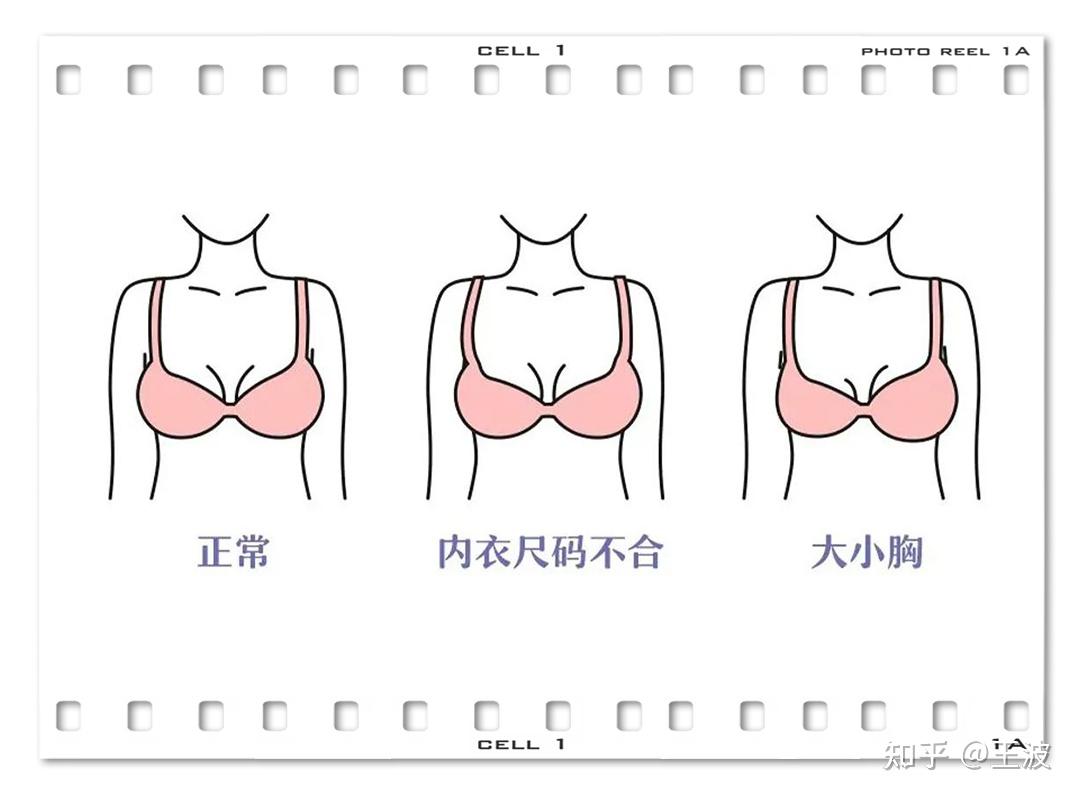 女性胸围尺码对照表_长沙雅美整形医院