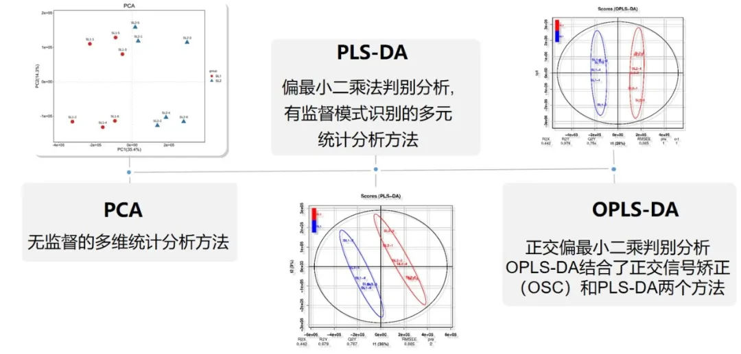 代谢组学数据分析结果如何呈现？ - 知乎