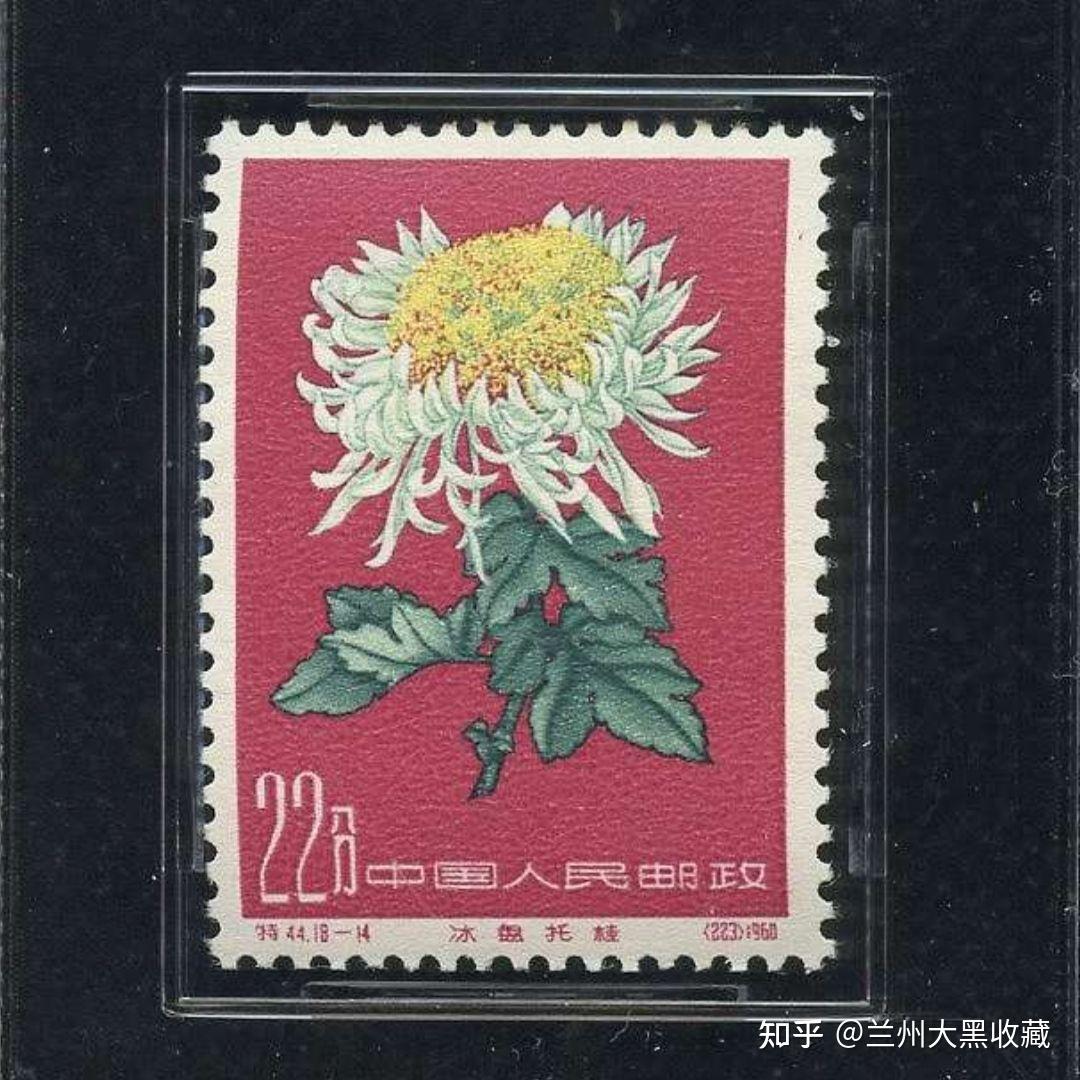 特44菊花(菊花)邮票