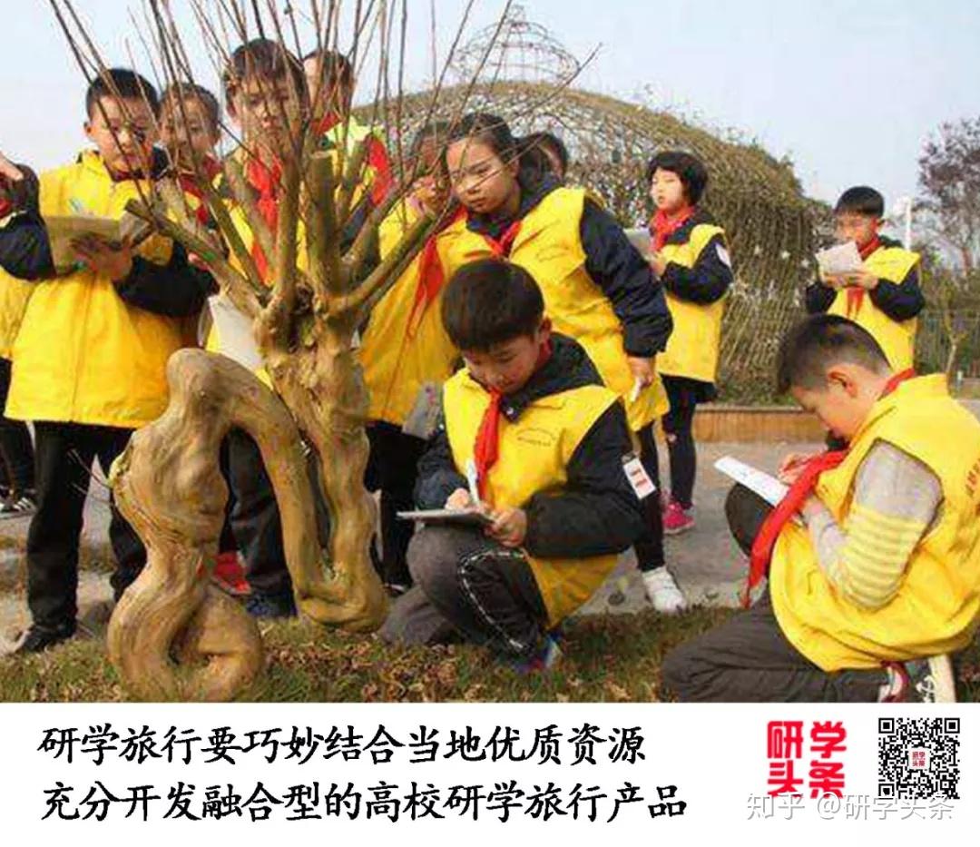 高校研学怎么做?高校研学旅行产品开发策略聚焦这4点 - 知乎