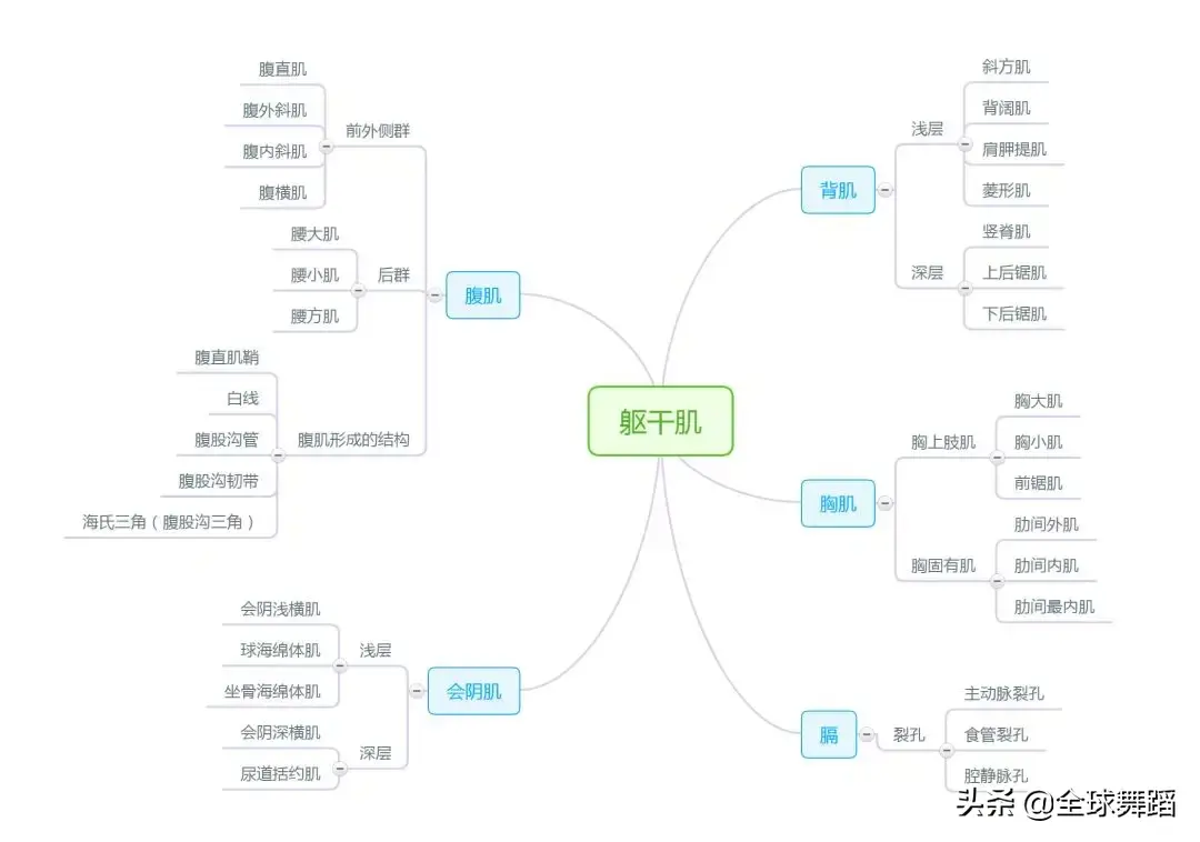 运动解剖学思维导图