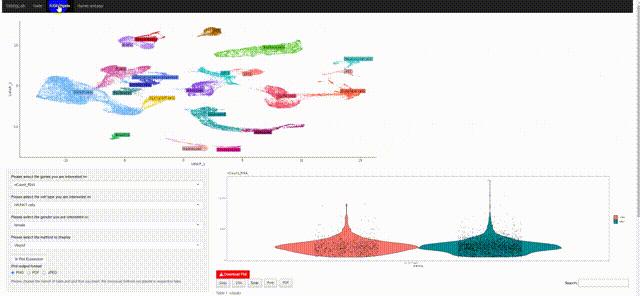 IF14.3| scRNA-seq+脂质组多组学分析揭示宫内生长受限导致肝损伤的性别差异 - 知乎