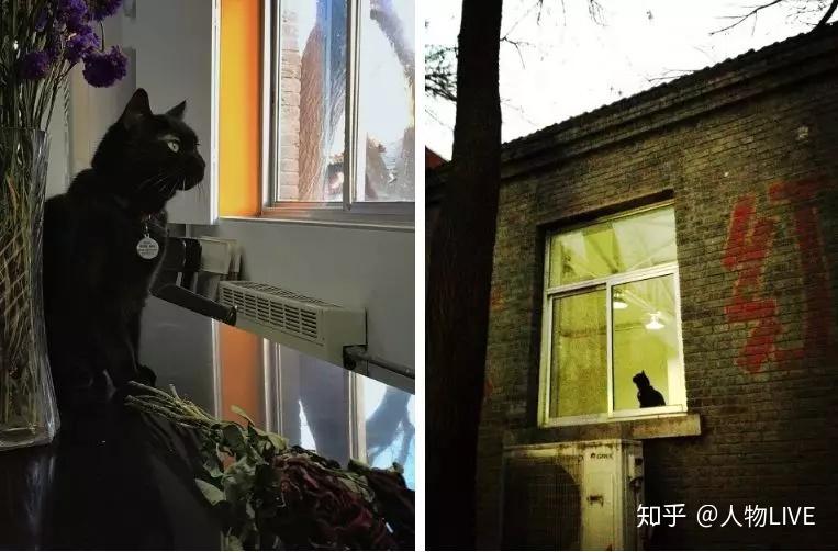 工作室内部  选择这里还因为这个房子没有做作的装饰,是完全真实的