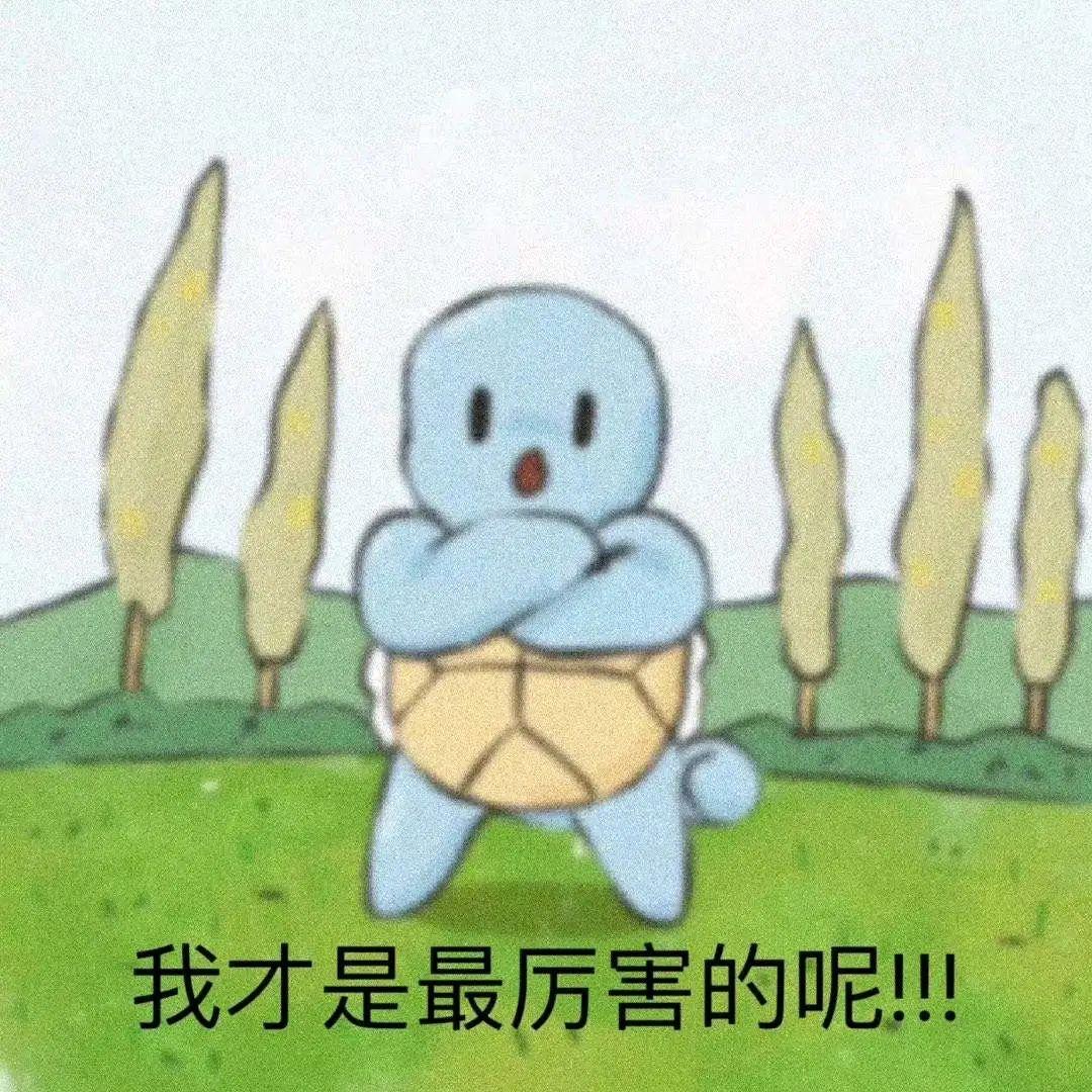 杰尼龟的表情包 - 知乎