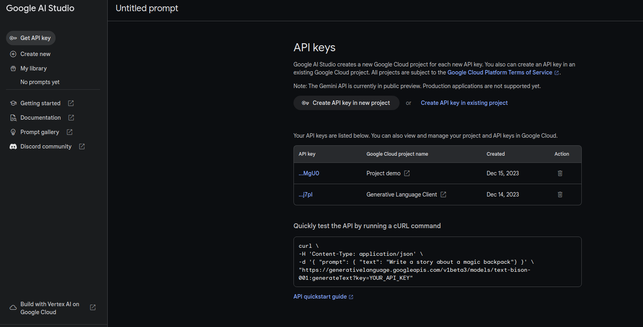 Google Gemini API 