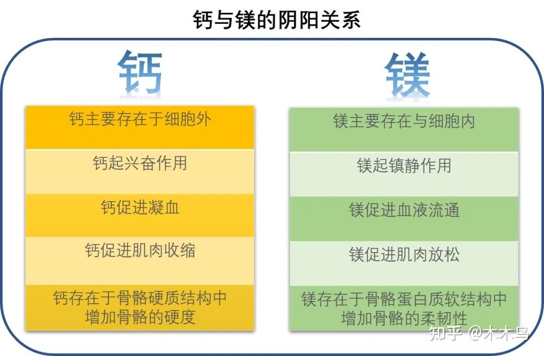 你需要了解的“镁中不足” （二）镁在人体中的重要作用，以及镁于钙相爱相杀的关系 - 知乎