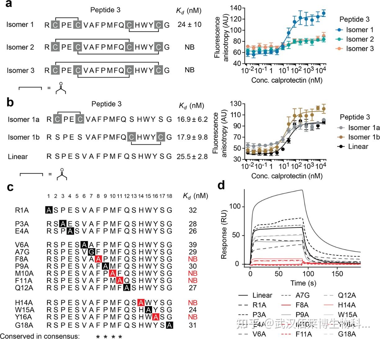 表面等离子共振 (SPR) 实验技术 - 知乎