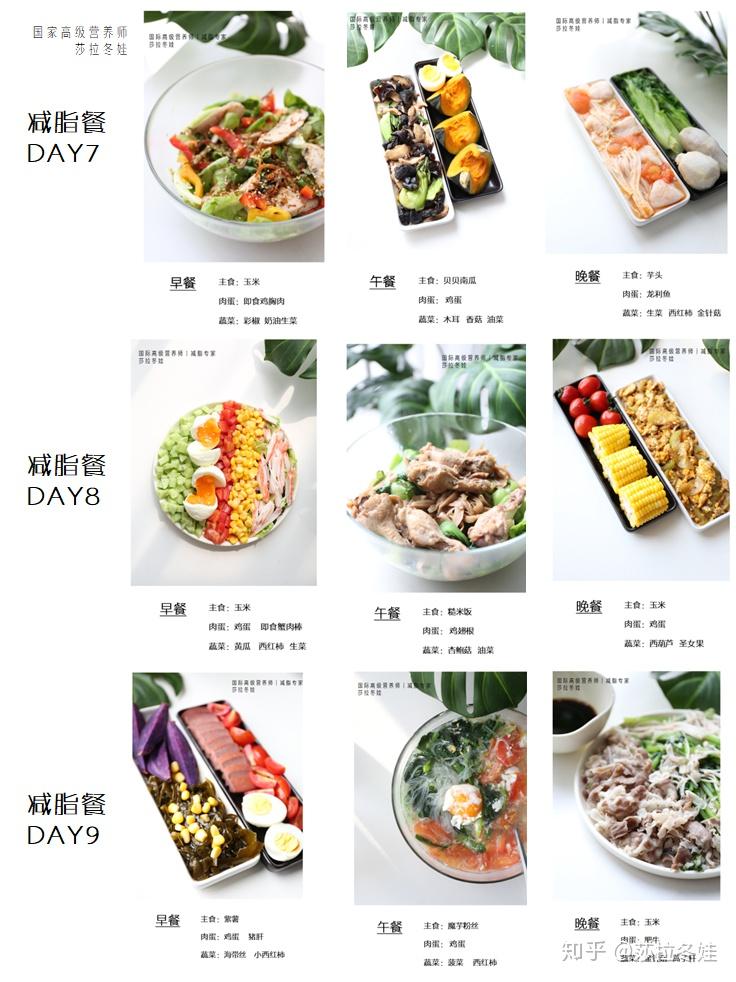 减肥新思路吃掉脂肪月瘦10斤超轻松国际高级营养师30天减脂食谱