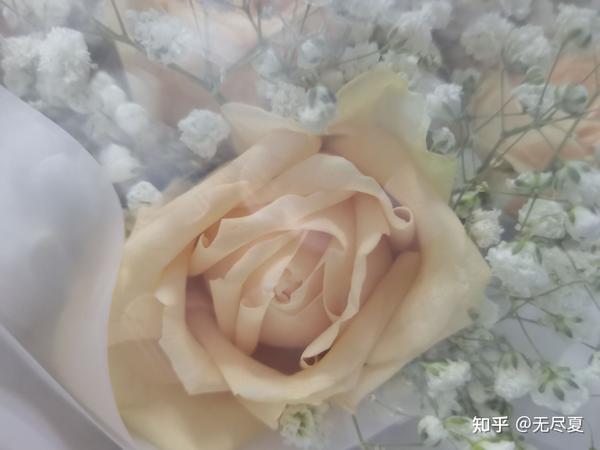 花太阳雨和你 知乎