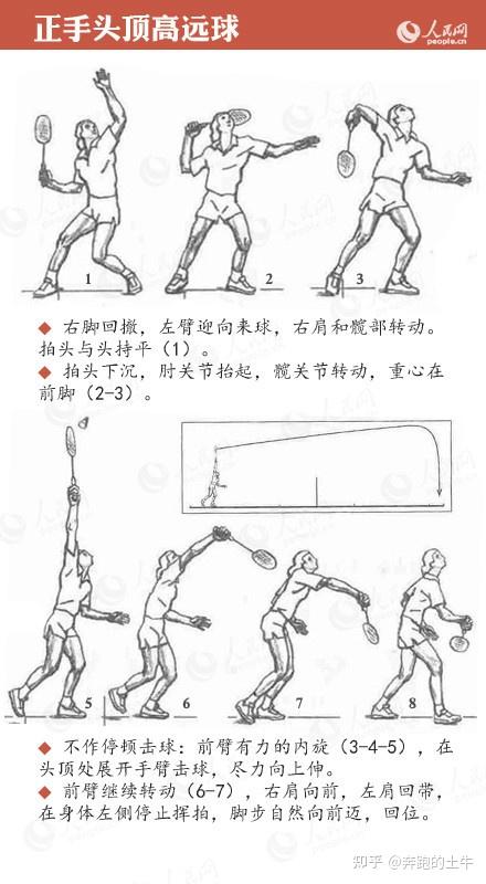 羽毛球的基本功 - 知乎
