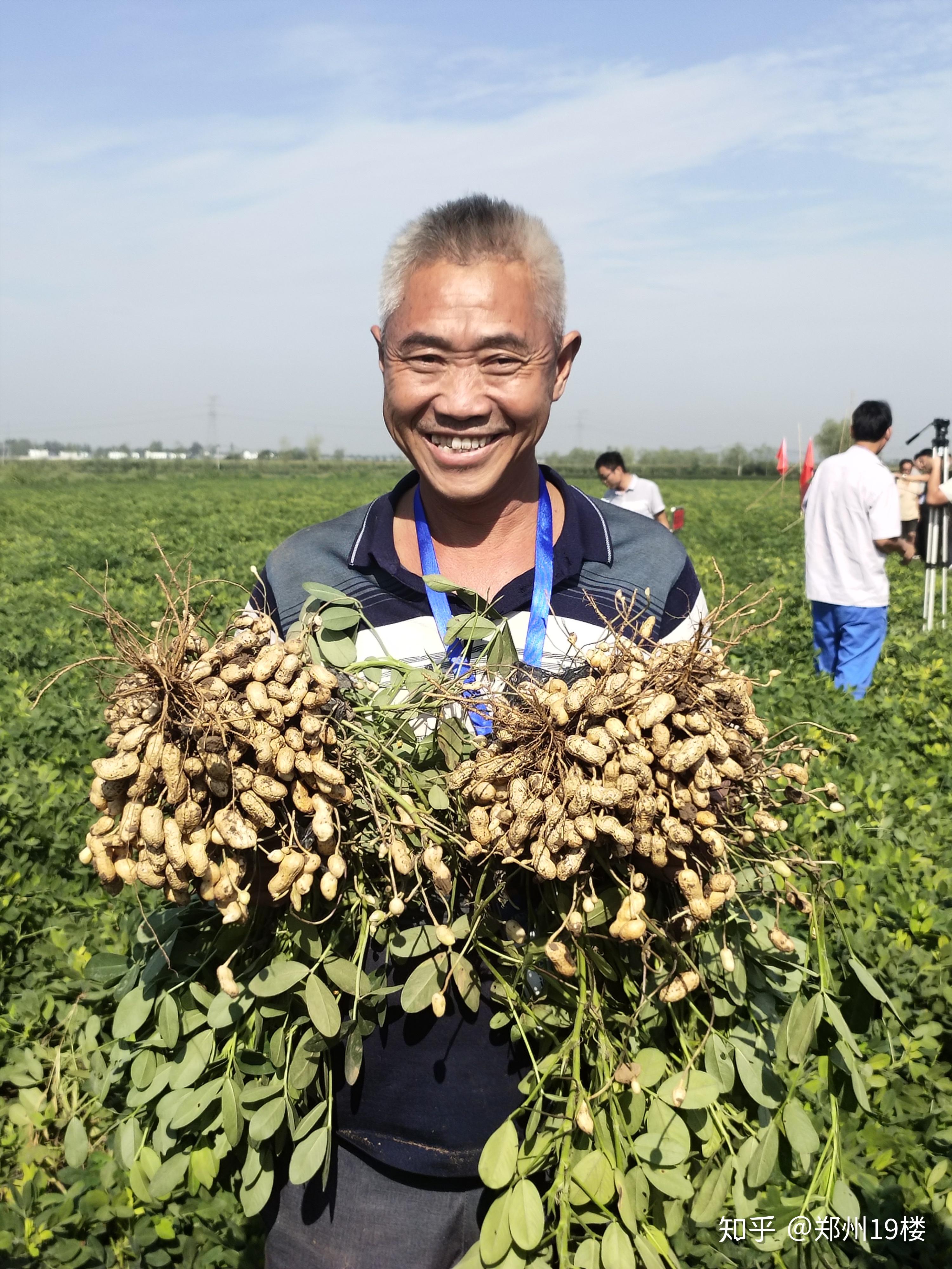 第二届益花1号花生产业化发展论坛在河南汝州举行