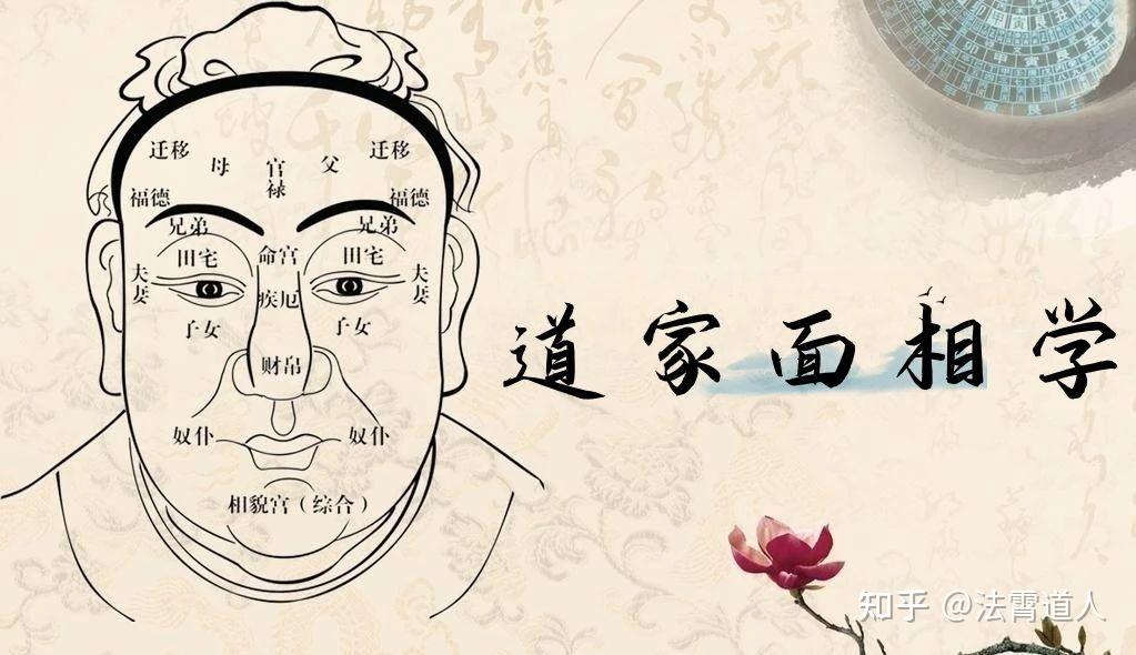面相学五官分析,五官看相算命图解 - 知乎