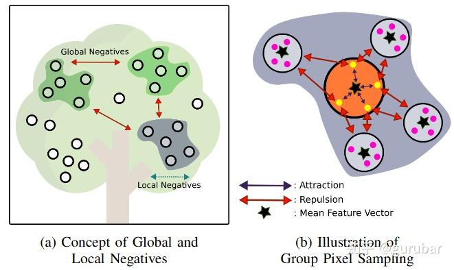a) visualize the concept of local and global negative and b) visualizes both pixel sampling and local negatives in detail