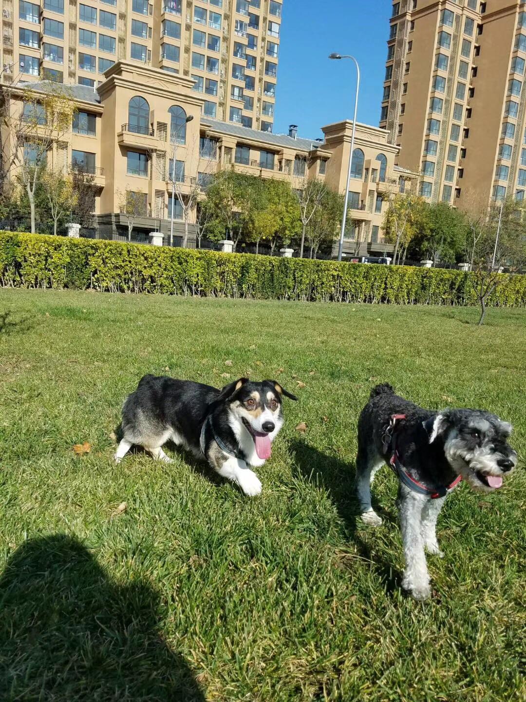 多少妹子因为男朋友爱玩游戏而分手?