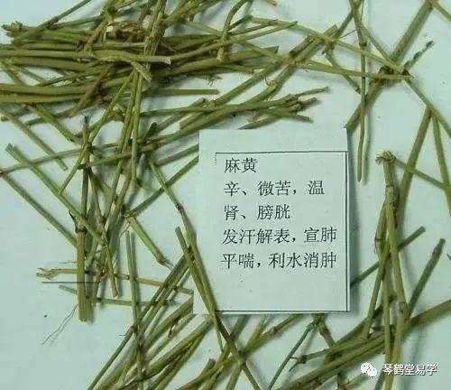 中药方剂歌诀详解：麻黄汤