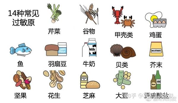 过敏与过敏原 - 知乎