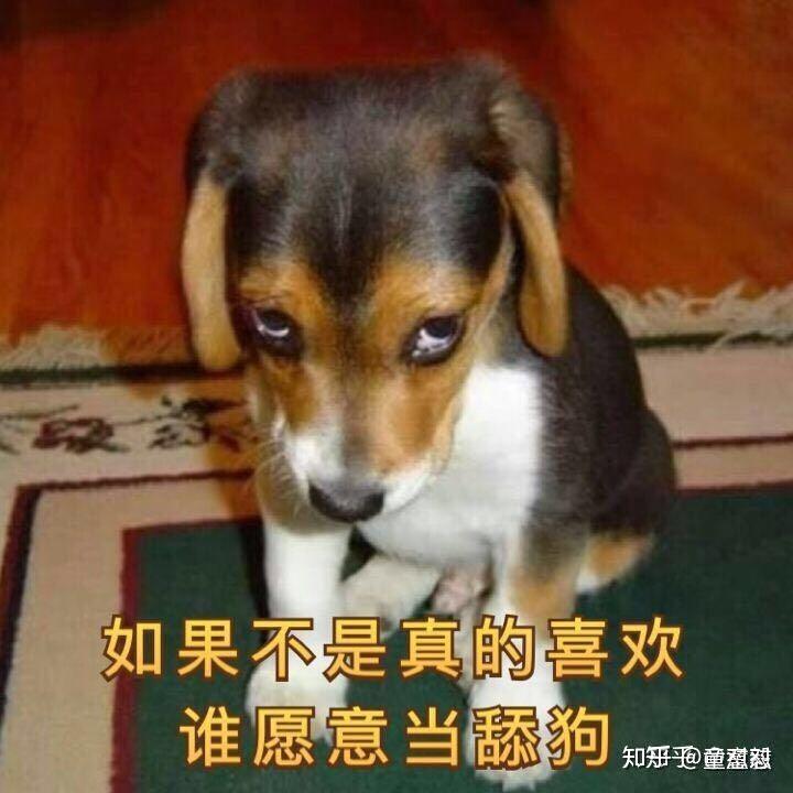 什么是舔狗男 v2-e6bd38e6951fea8a71dd1d3111e6dac8_r.jpg