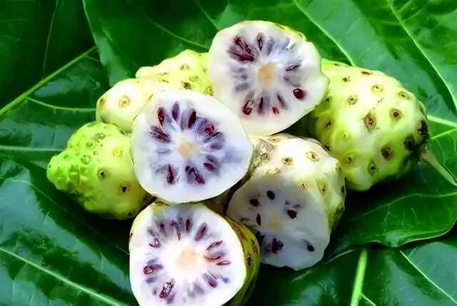 斐济野生诺丽，你可以永遠相信的神奇果实 - 知乎