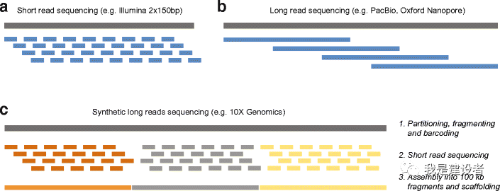  Synthetic Long Reads 
