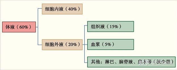 生理学全书笔记 第一章绪论 - 知乎