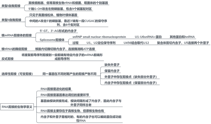 知識樹:分子生物學基礎知識要點——從基因組到生命體 - 知乎