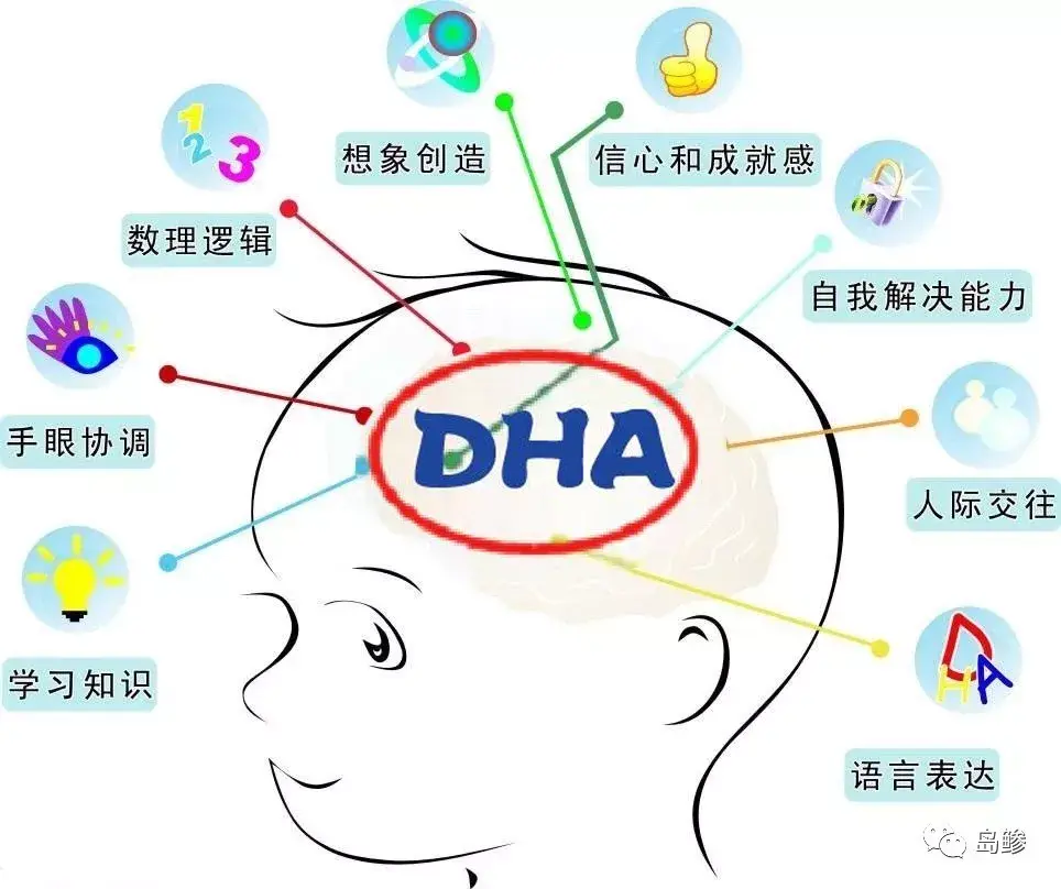 孕期为什么要补充DHA？DHA什么时候补充？怎么吃？（科普文） - 知乎