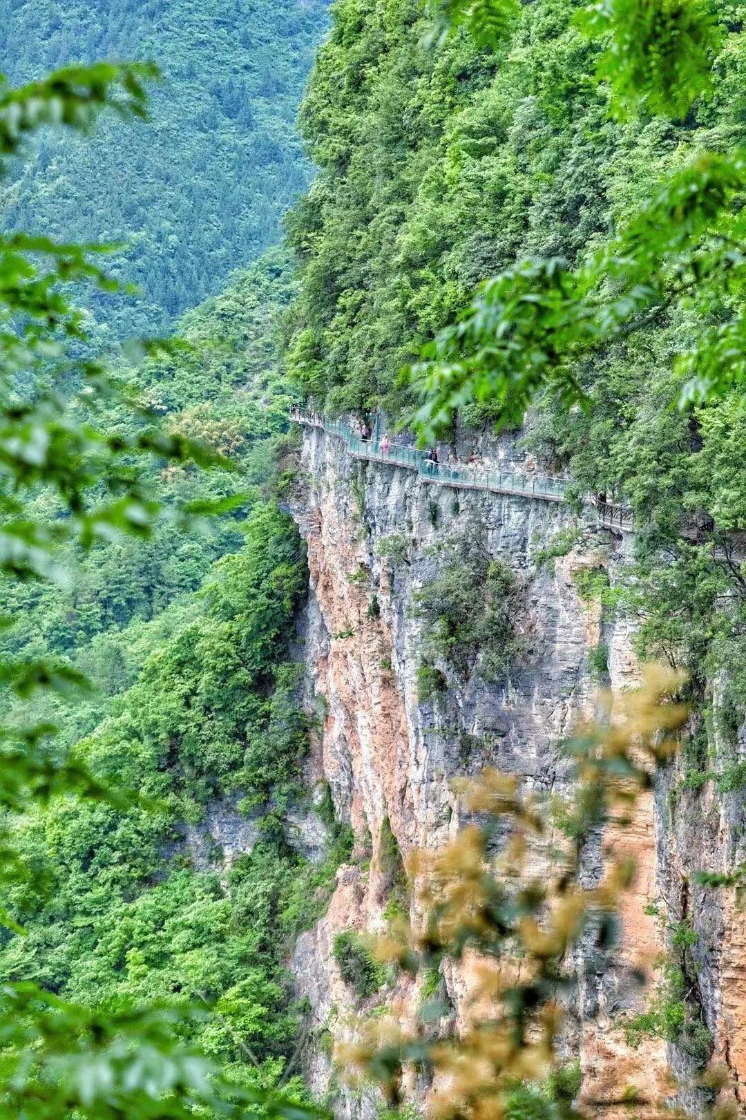 巴山大峡谷照片图片