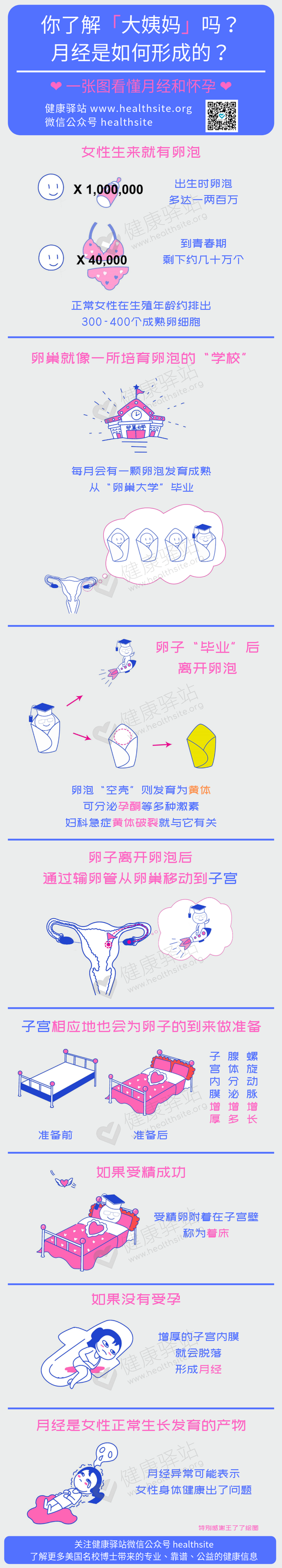 你了解大姨妈吗?月经是如何形成的? - 知乎