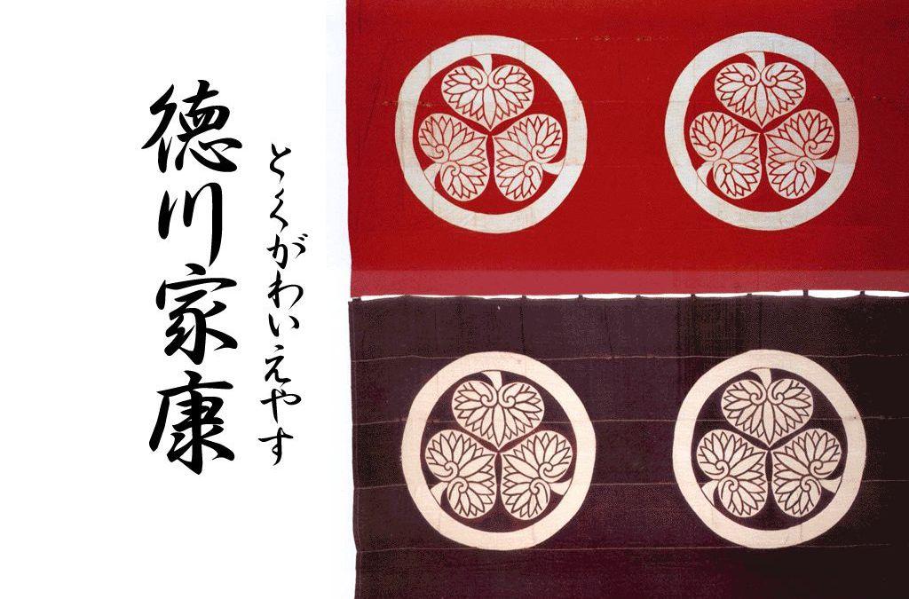 德川家康精彩内容摘录