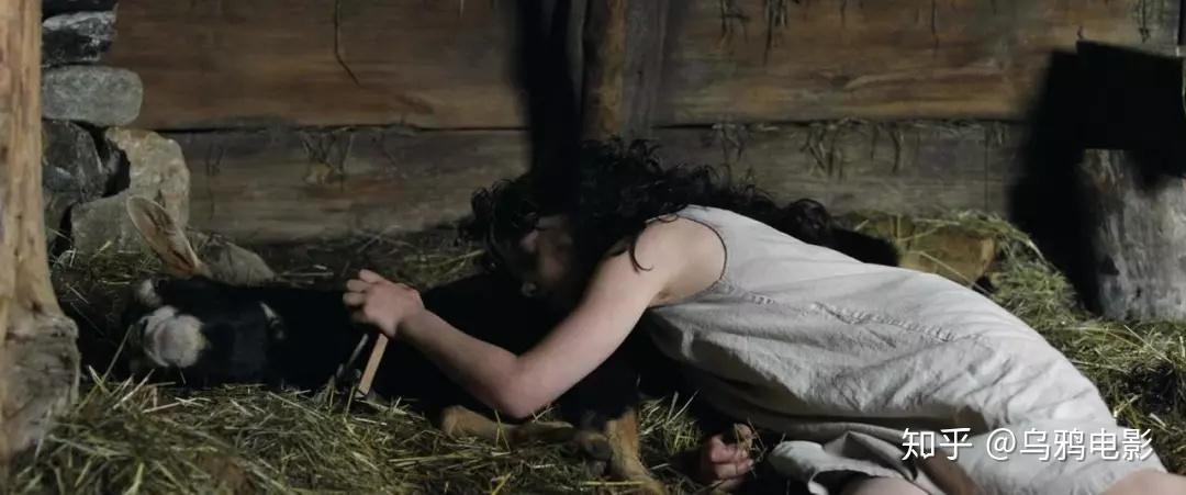 豆瓣90画面美哭这部百年神作值得更多人知道