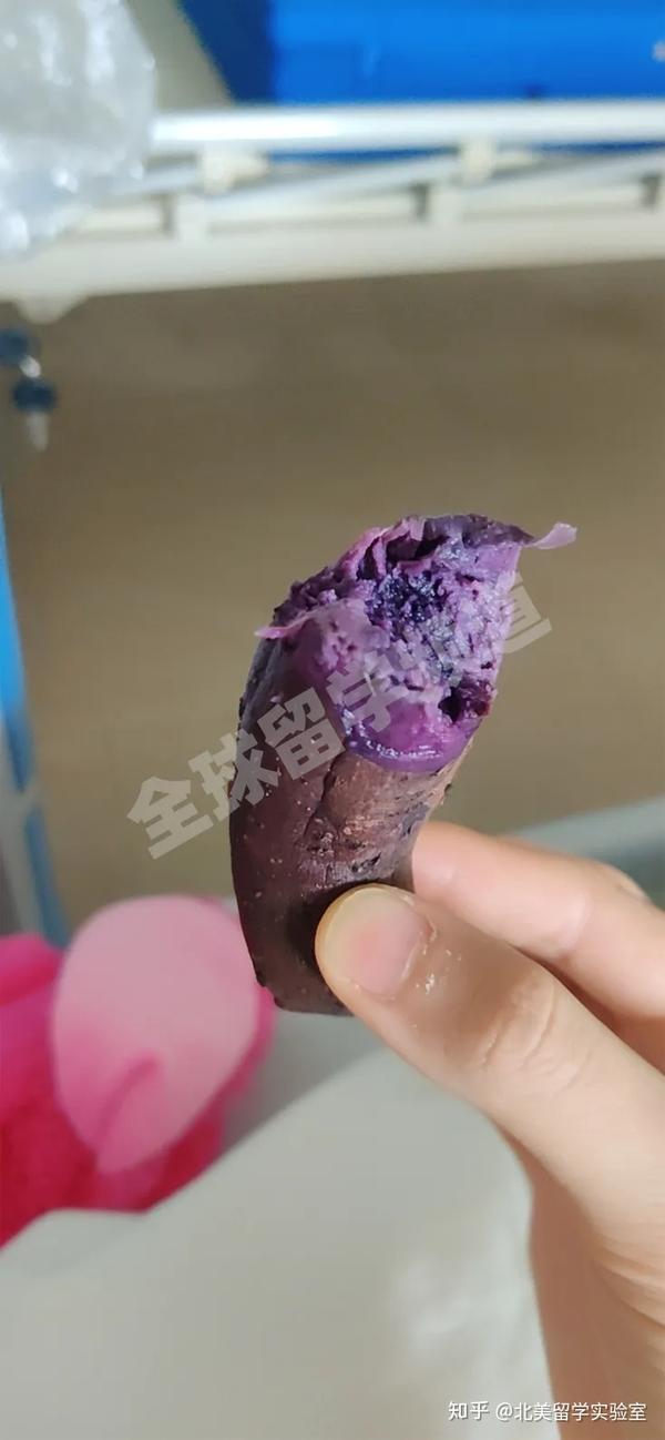 发霉的紫薯图片