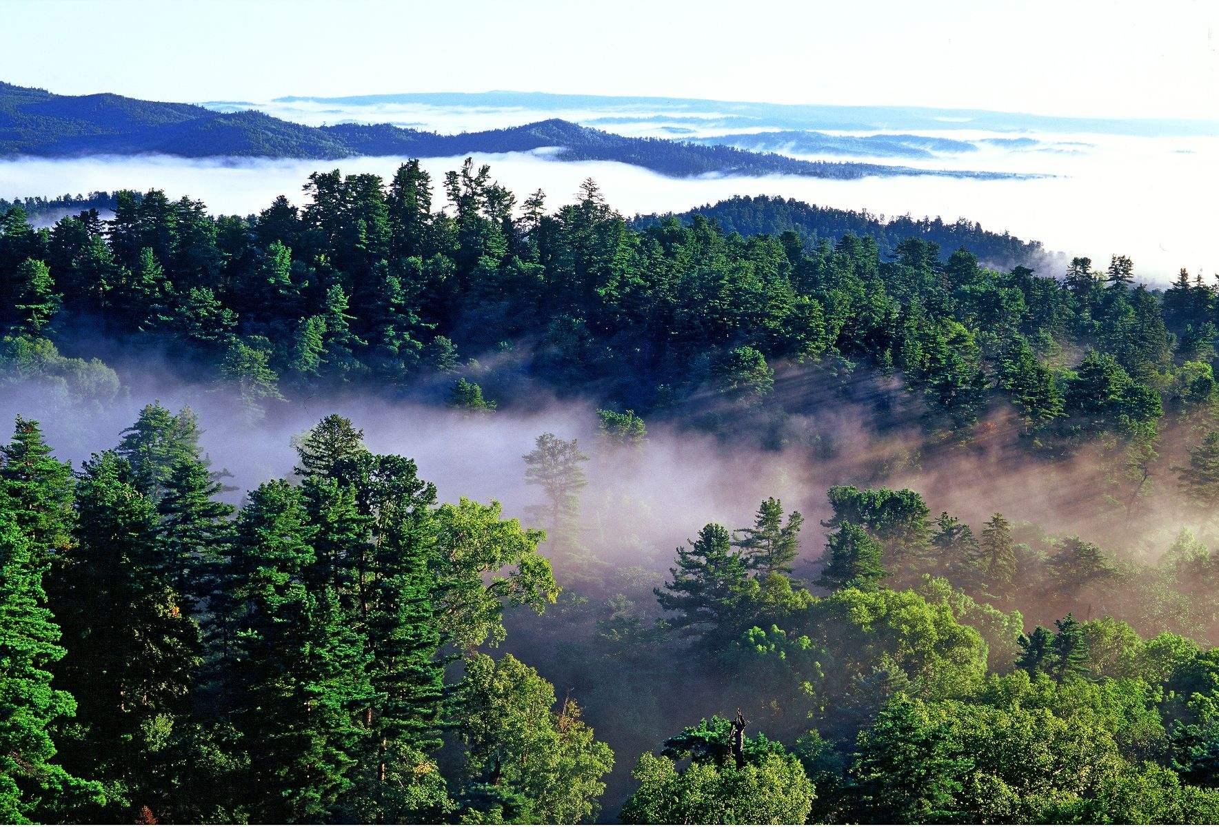 我花了2天1晚，去了一个神奇的地方——河南老界岭攻略-南阳旅游攻略-游记-去哪儿攻略