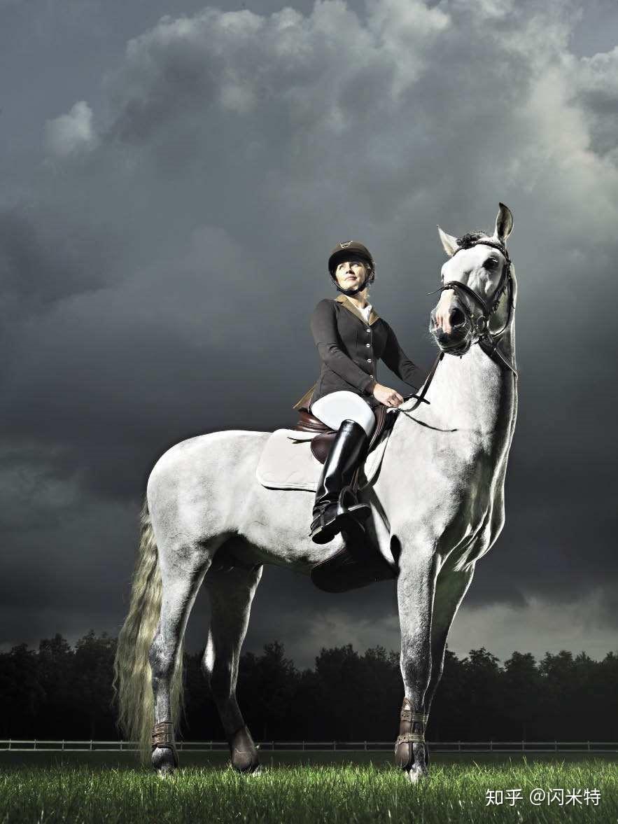 上世纪欧洲贵族都做什么运动?