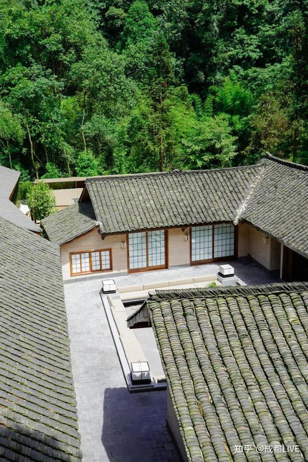 探寻青城山秘境|宿仙谷,开启人文度假新体验 - 知乎