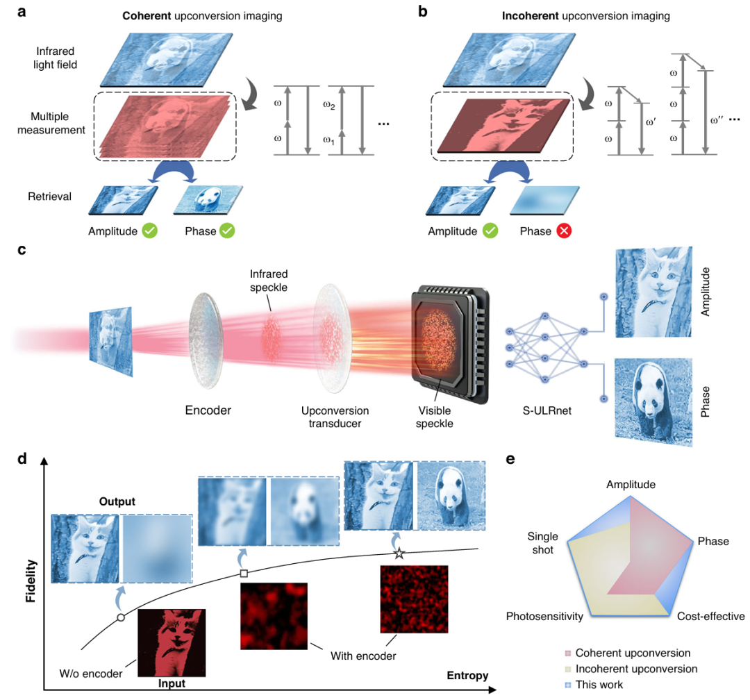 广东工业大学/暨南大学/厦门大学最新Light: science & applications:用于红外复振幅成像的上转换光学熵编码! - 知乎