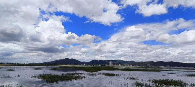 云南祥云:"旱坝子"踏出一条致富的"旱路子"