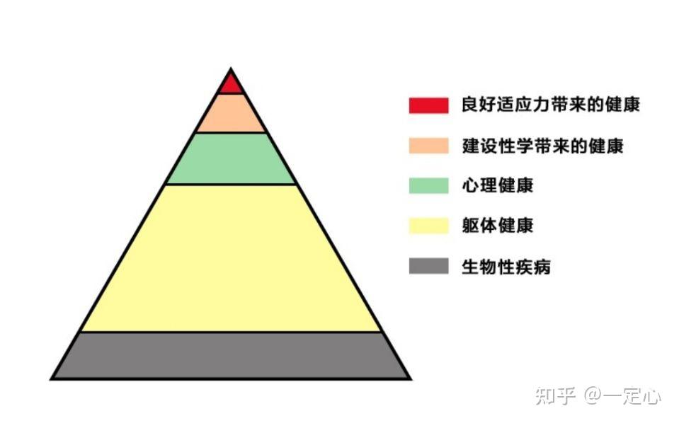 认知健康金字塔我的健康我做主