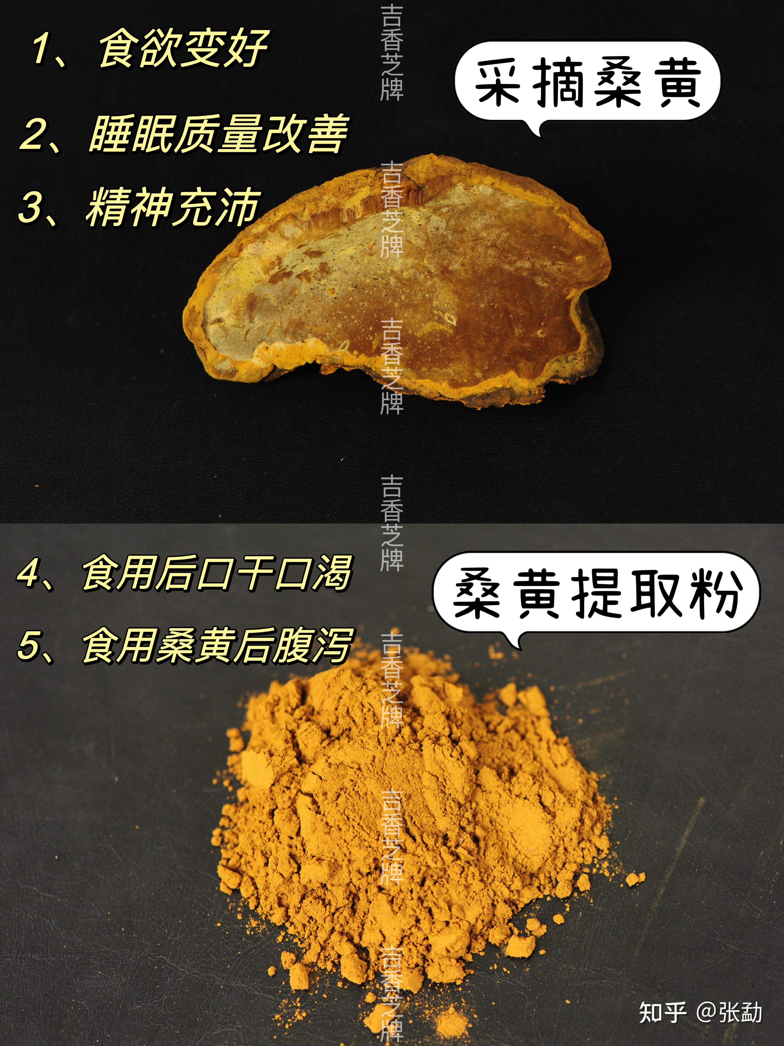 食用桑黄的五个明显的体感反应！看看你有吗？ - 知乎