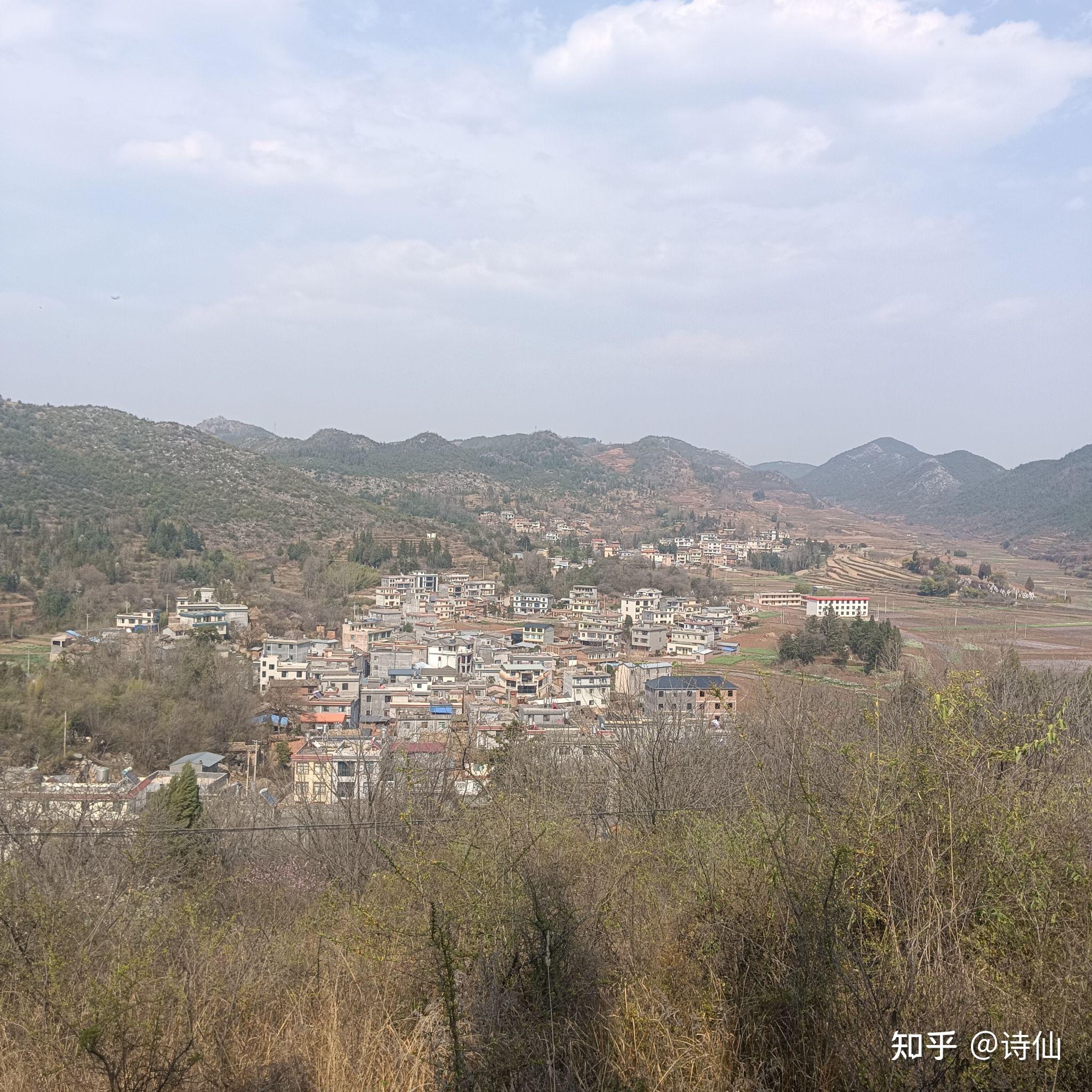 云南省宣威市羊场镇兔场村委会新德村徐金龙护林员