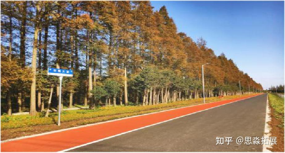 上海長興島郊野公園迷你馬拉松健康跑好去處