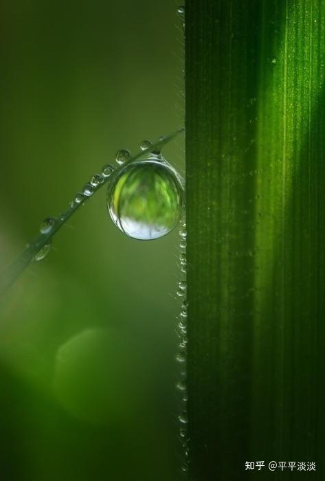 滴水藏禅 - 知乎