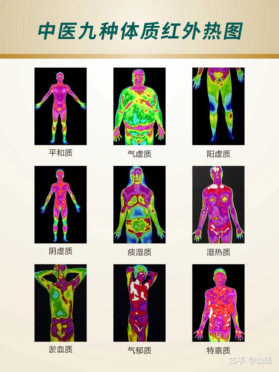 湿热体质特征表现、易患疾病及养生建议 - 知乎