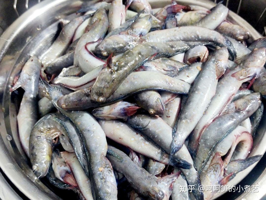 67跳跳鱼,鲁迅笔下的"海边跳鱼",沿海地区不可缺少的美味,外酥里嫩